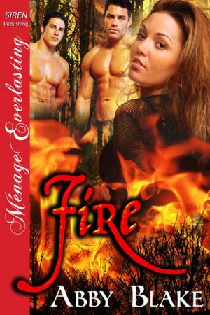 Cover of the book Fire by Clair de Lune