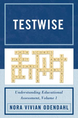 Cover of the book Testwise by Scott D. Richman, Steve Permuth, Paula M. Richman