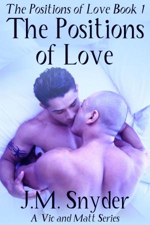 Cover of the book The Positions of Love by Kassandra Lea