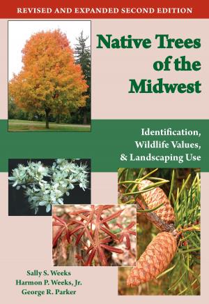 Book cover of Native Trees of the Midwest
