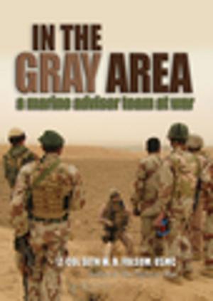 Cover of the book In the Gray Area by Terry McKnight, Michael Hirsh