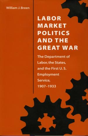 Cover of the book Labor Market Politics and the Great War by Richard T. Cahill Jr.