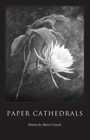 Cover of the book Paper Cathedrals by Martin Willis
