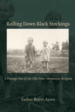 Cover of Rolling Down Black Stockings