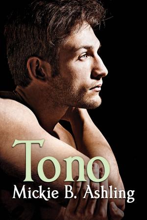 Cover of the book Tono by j. leigh bailey