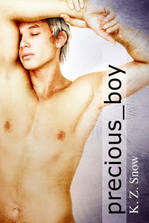 Cover of the book precious_boy by Ashlyn Kane