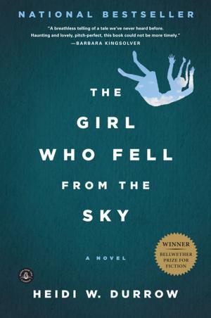 Cover of the book The Girl Who Fell from the Sky by Mark Bailey