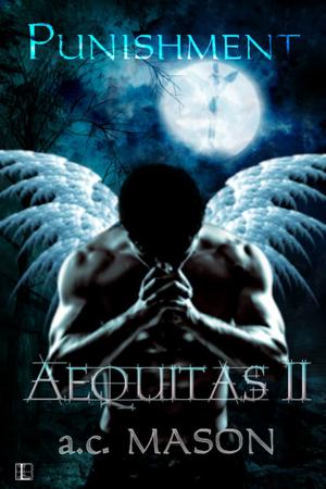 Book cover of Aequitas II Punishment