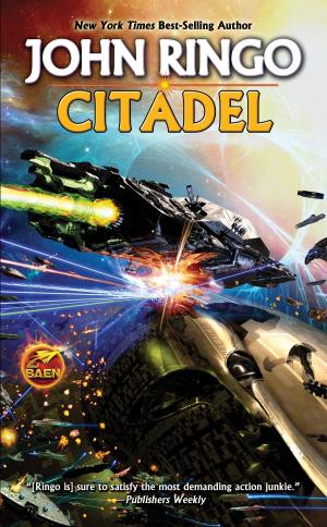 Cover of the book Citadel by Andre Norton