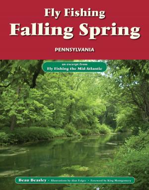 Book cover of Fly Fishing Falling Spring, Pennsylvania