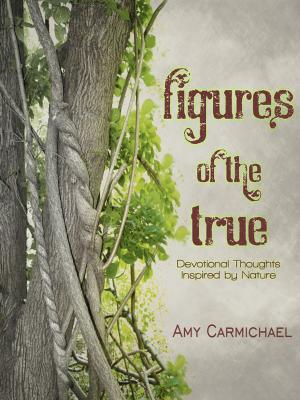 Cover of the book Figures of the True by Marty Berglund