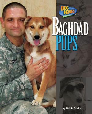 Cover of the book Baghdad Pups by Michael Teitelbaum