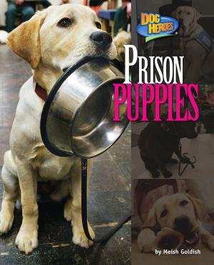 Cover of the book Prison Puppies by Natalie Lunis