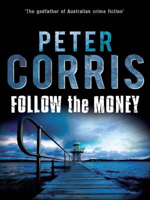 Cover of the book Follow the Money by Mark Johnston