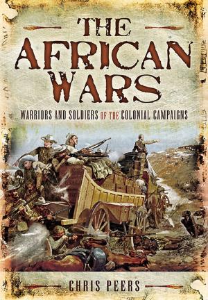 Cover of the book The African Wars by John Jackson