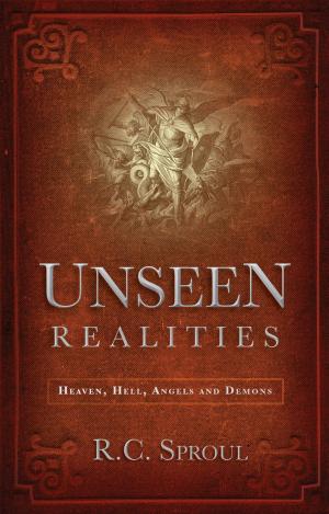 Cover of the book Unseen Realities by Sarah Collins