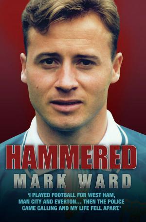 Cover of the book Hammered by Crissy Rock