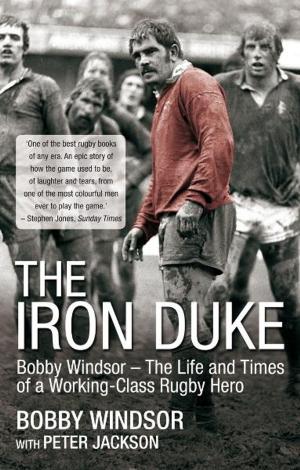 Cover of the book The Iron Duke by Anthony Galvin