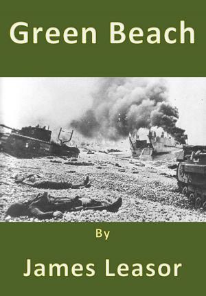 Book cover of Green Beach