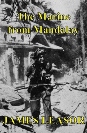 Book cover of The Marine from Mandalay