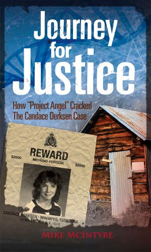 Cover of the book Journey for Justice by Geoff Kirbyson