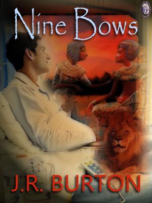 Cover of the book NINE BOWS by R. Richard