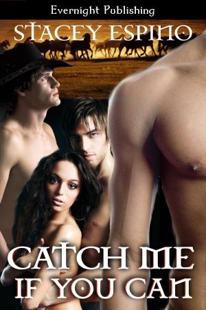 Cover of the book Catch Me If You Can by Annie Harland Creek
