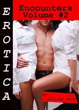 Book cover of Erotica: Encounters, Volume #2