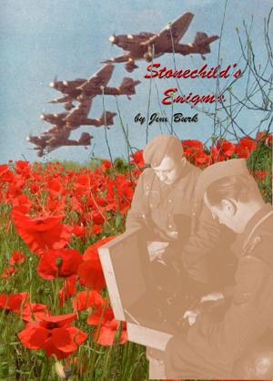 Cover of the book Stonechild's Enigma by Benjamin Fisher-Merritt