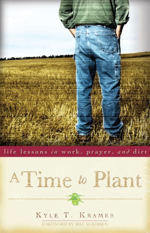 Cover of the book A Time to Plant by Christine Valters Paintner