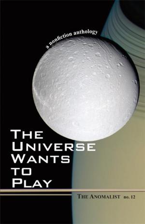 bigCover of the book The Universe Wants To Play: The Anomalist 12 by 