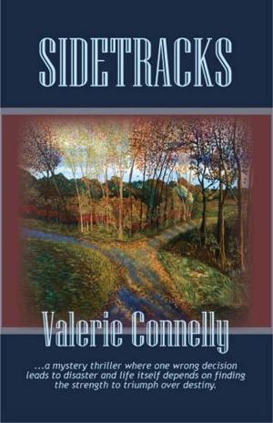 Cover of the book Sidetracks by Valerie Connelly
