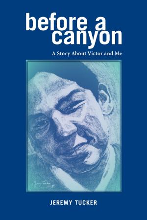 Cover of the book Before A Canyon by Angela Caughlin