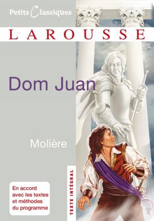 Cover of the book Dom Juan by Rachel Frély