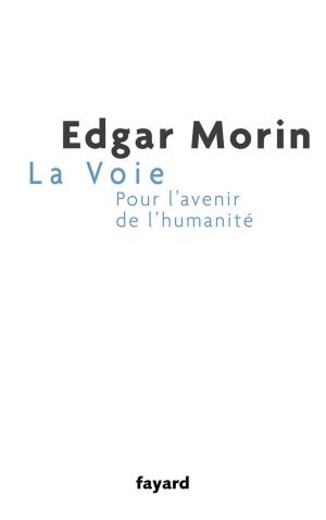 Cover of the book La Voie by Régis Debray