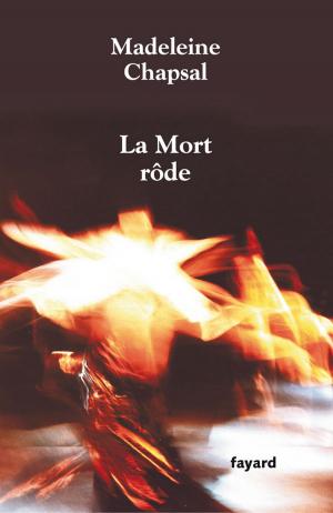 Cover of the book La mort rôde by Frédéric Lenormand
