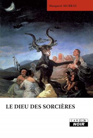 Cover of the book LE DIEU DES SORCIERES by Nicolas Castelaux