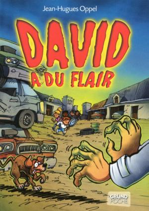 Cover of the book David a du flair by Dr Stéphane CLERGET, Marie BERNARD
