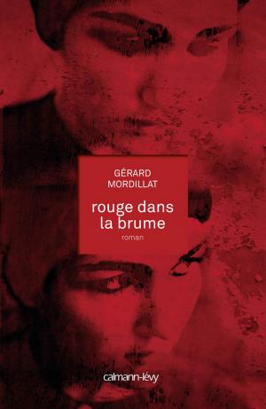 Cover of the book Rouge dans la brume by Daniel Cerdan