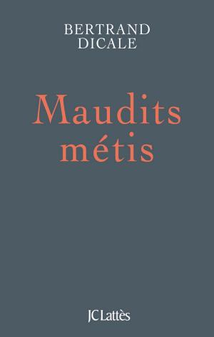 Book cover of Maudits métis