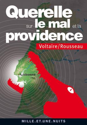 Cover of the book Querelle sur le Mal et la Providence by Sébastien Marnier