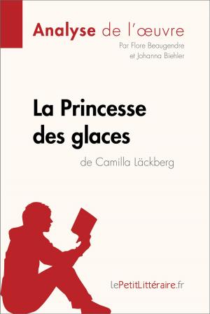 Cover of the book La Princesse des glaces de Camilla Läckberg (Analyse de l'oeuvre) by Dominique Coutant-Defer, lePetitLittéraire.fr