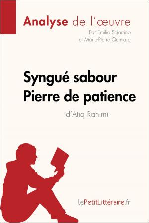 Cover of the book Syngué Sabour. Pierre de patience d'Atiq Rahimi (Analyse de l'oeuvre) by Elena Pinaud, Delphine Le Bras, lePetitLitteraire.fr