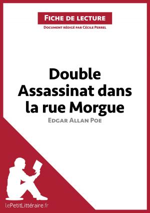 Cover of the book Double assassinat dans la rue Morgue d'Edgar Allan Poe (Fiche de lecture) by Elena Pinaud, Florence Balthasar, lePetitLitteraire.fr