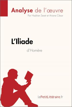 Cover of the book L'Iliade d'Homère (Analyse de l'oeuvre) by Nathalie Roland, lePetitLittéraire.fr