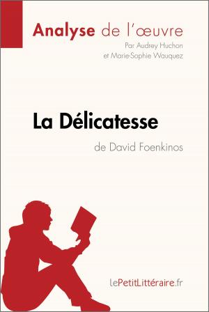 Cover of the book La Délicatesse de David Foenkinos (Analyse de l'oeuvre) by Daphné de Thier, lePetitLittéraire.fr