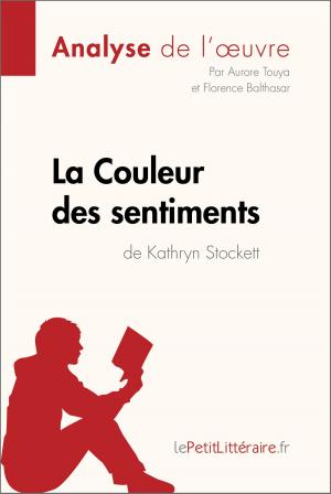 Cover of the book La Couleur des sentiments de Kathryn Stockett (Analyse de l'oeuvre) by Elena Pinaud, Tina Van Roeyen, lePetitLittéraire.fr