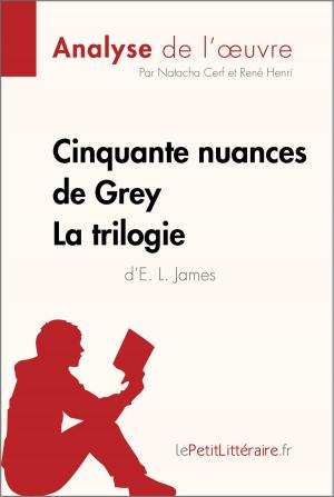 Cover of the book Cinquante nuances de Grey d'E. L. James - La trilogie (Analyse de l'oeuvre) by Julien Noël, lePetitLittéraire.fr