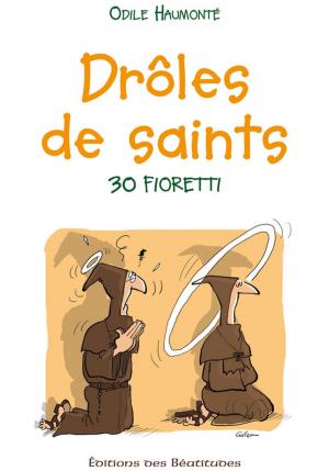 Cover of the book Drôles de saints by Pierre Dumoulin
