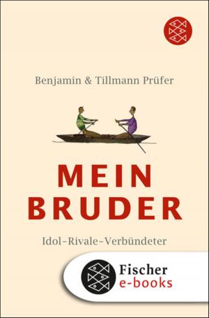 Cover of the book Mein Bruder by Alfred Döblin, Prof. Dr. Sabina Becker